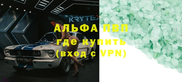 индика Абаза