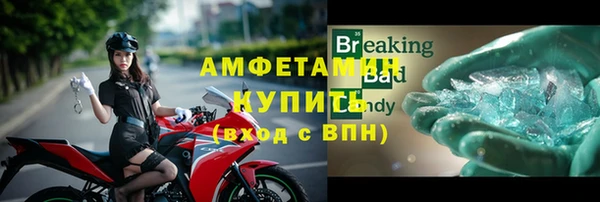 шишки Приозерск