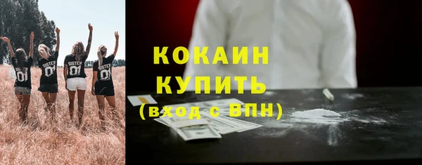прущие грибы Абдулино