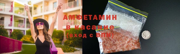 индика Абаза