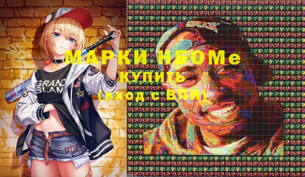 шишки Приозерск