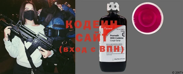 индика Абаза