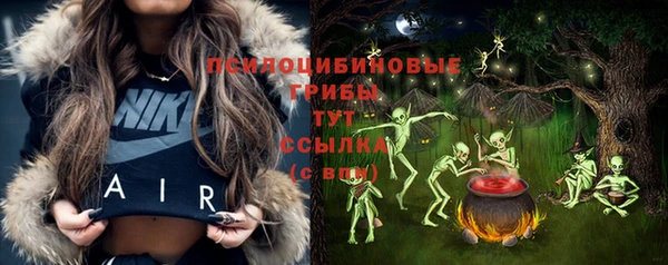 прущие грибы Абдулино