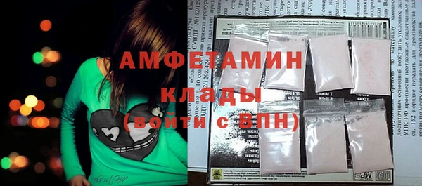 индика Абаза