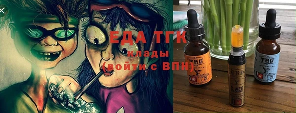 индика Абаза
