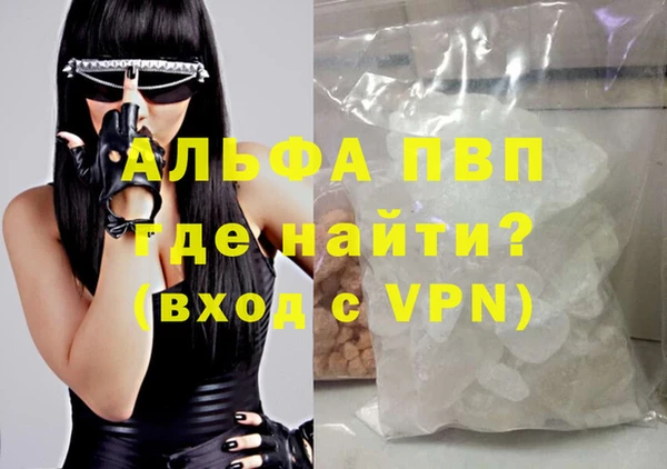шишки Приозерск