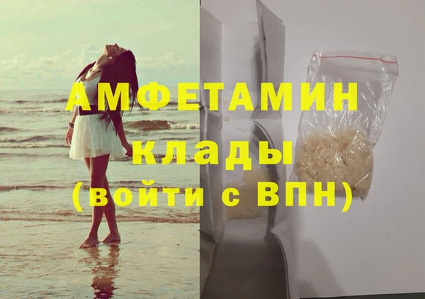 индика Абаза